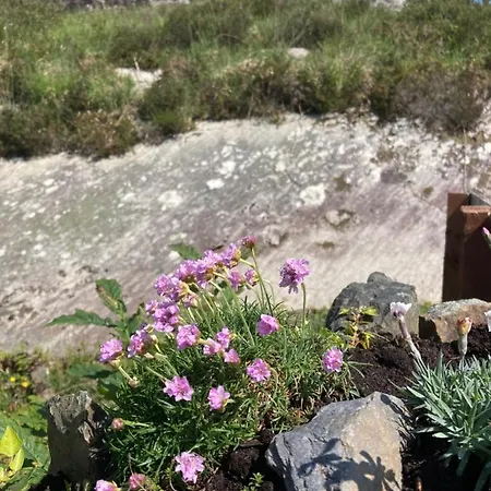 Rugged Glen グレンギャリフ