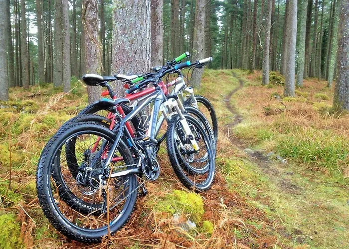 Rugged Glen