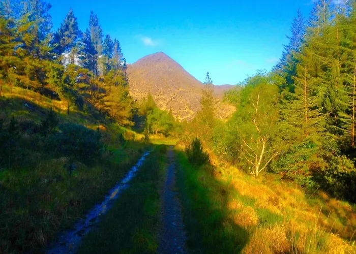 Bed and Breakfast Rugged Glen Glengarriff