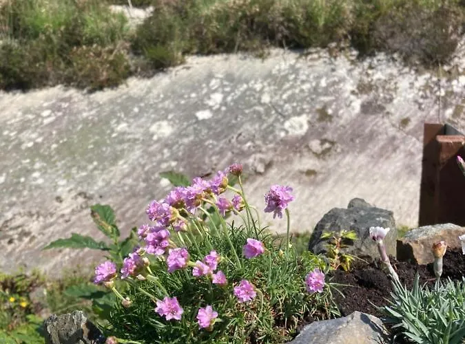 Rugged Glen Glengarriff