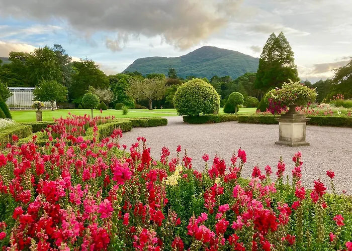 Oda ve Kahvaltı Rugged Glen